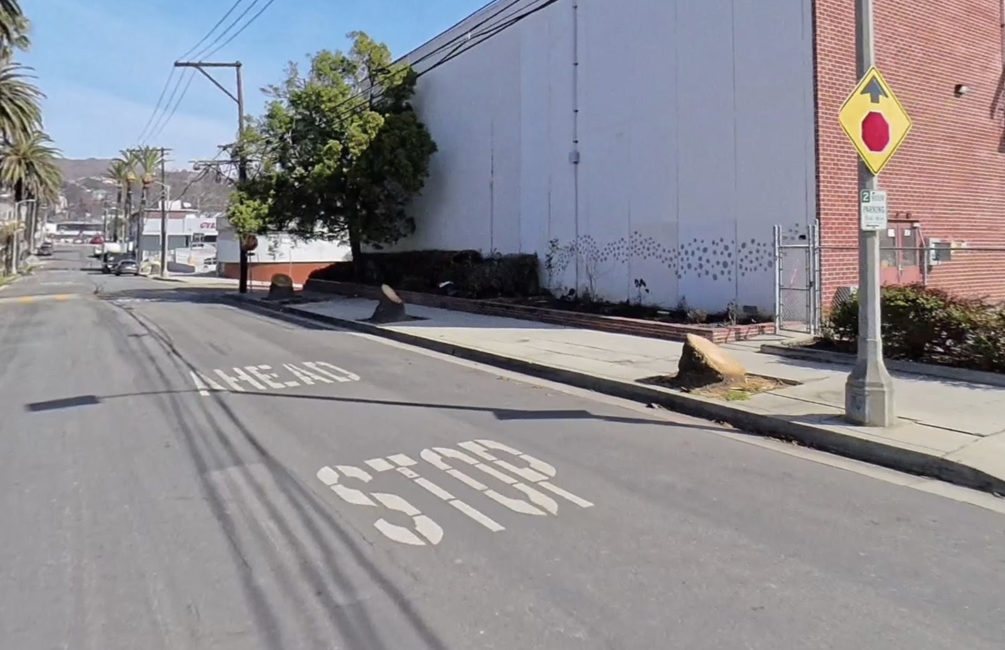 Stumps along Swarthmore street